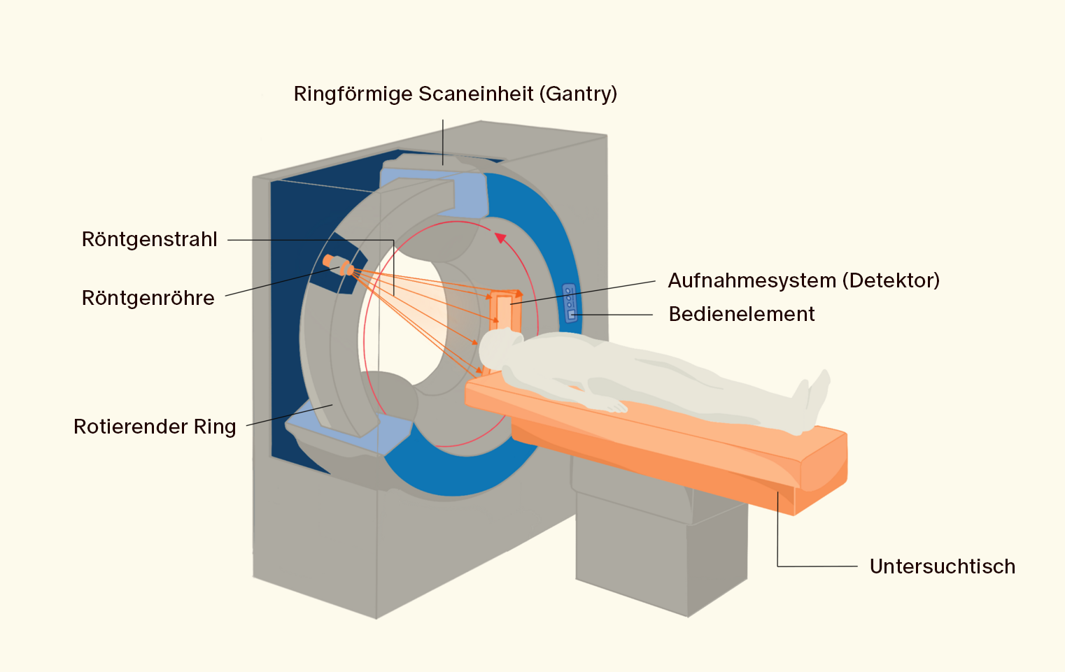 MRI oder CT – Was ist der Unterschied?