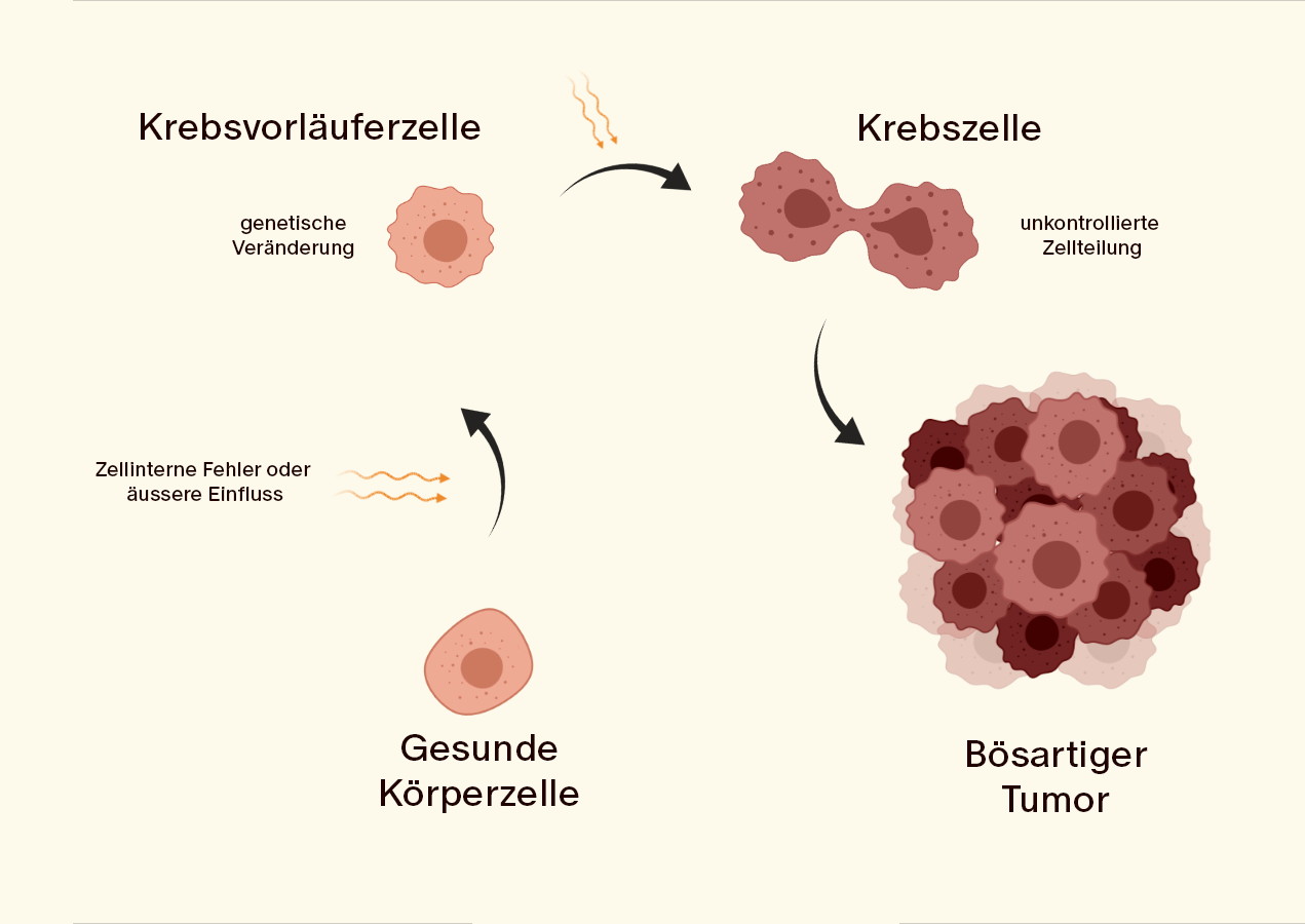 Cancer Statistics in Switzerland: More New Cases, Fewer Cancer Deaths