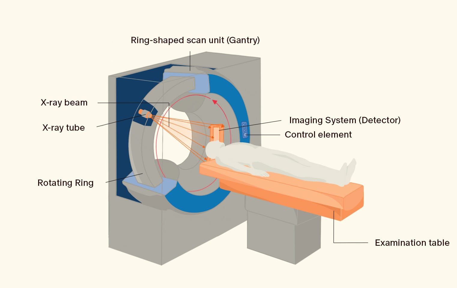 CT vs. MRI: Which Imaging Technique is Right for You?